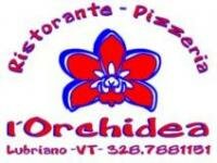 Sponsors